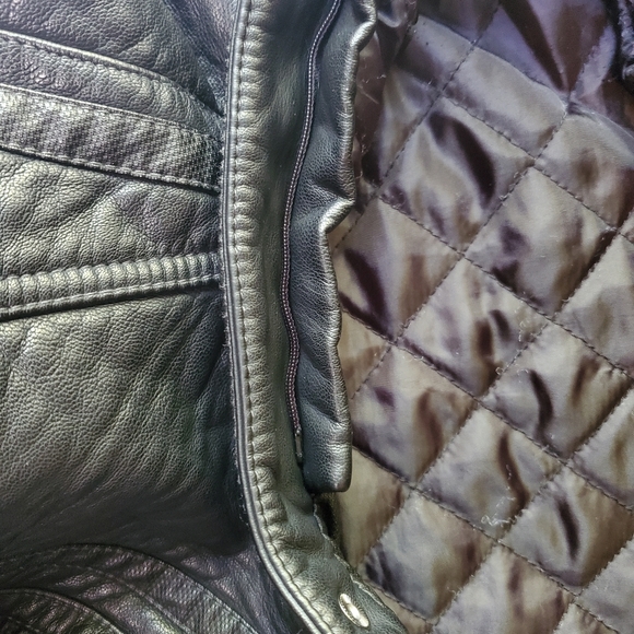 Buckle Black - Picture 9 of 13